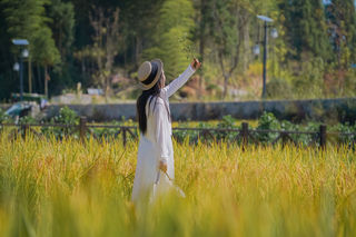 从伯温故里出发，赴一场温州文成3天2晚初秋美景之约