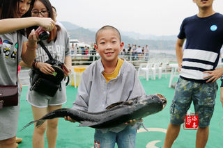 杭州周边游首选|住进风景,去千岛湖餐饮名店外婆湾鱼味馆吃淳鱼