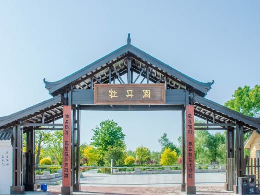 大泽天香牡丹园