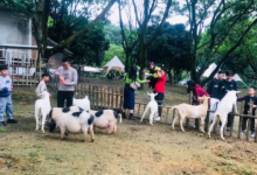 京明温泉度假村动物观赏园景点图片
