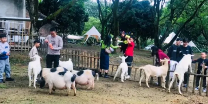 京明溫泉度假村動物觀賞園
