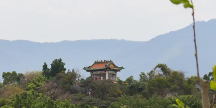 杜鵑山