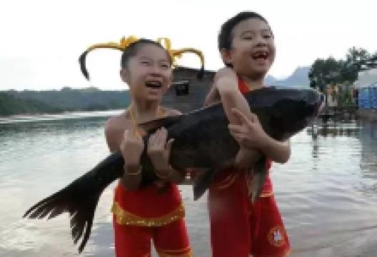 大金湖鱼味馆美食图片