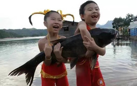 大金湖鱼味馆