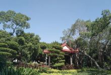 宅内古榕公园景点图片