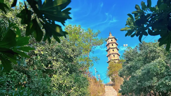 安洲塔