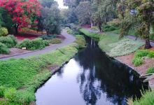 UC Davis Arboretum and Public Garden景点图片