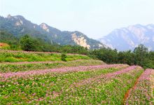 昆嵛山石门里景区景点图片