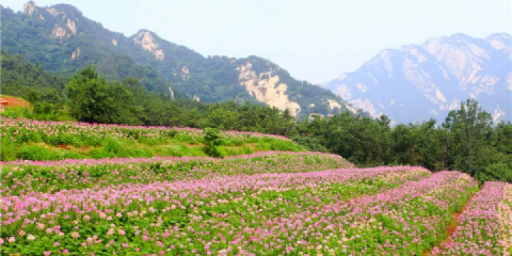 昆嵛山石門裡景區