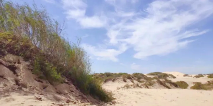 科爾沁草原潮海沙漠旅遊區