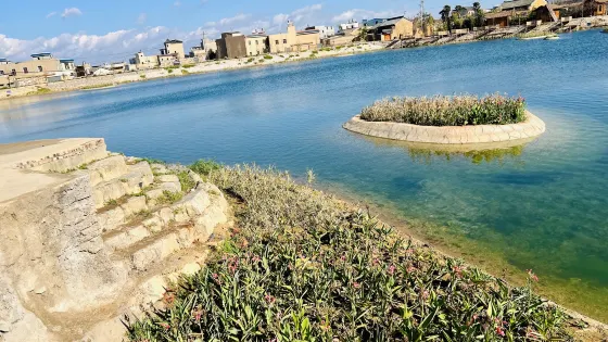 龍顏湖