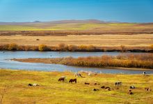 室韦临江界河风景区景点图片