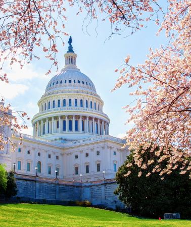2D1N • Classic East Coast 3-city tour: NYC + Philadelphia + Washington DC, From New York City
