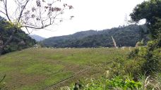 大围村-香港-貓貓達