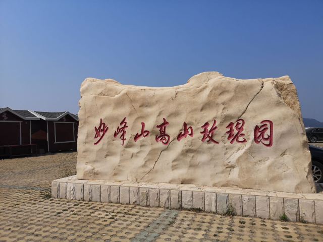 玫瑰谷旅行图片 1