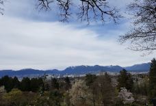 本那比山公园-本那比-小凌60