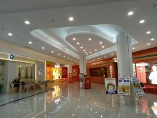 东宝广场右一城-潮州-梵高并不高