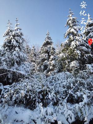 记录疫情之后的第一次云台山风景区之旅