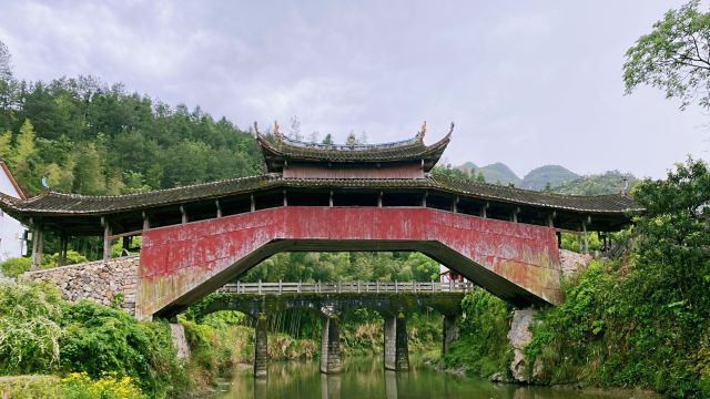 泰顺廊桥文化园旅行图片 1