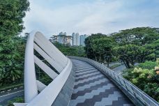 花柏山公园-新加坡