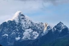 猫鼻梁-小金-明王不动尊