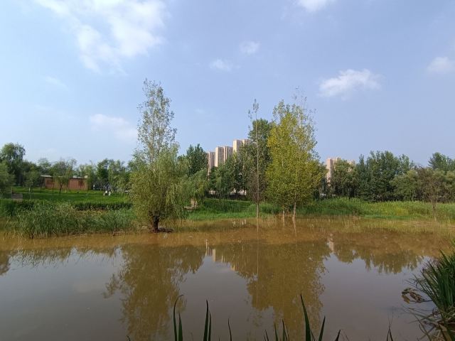 长安城市公园(樊川公园)旅行图片 3