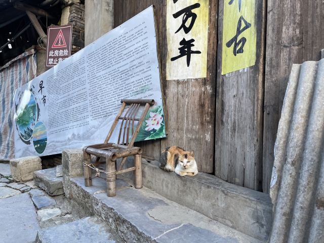 西河古镇旅行图片 8