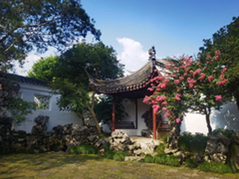 苏州游记图片] 小味姑苏