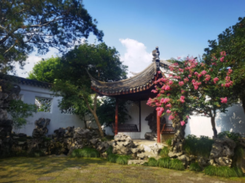 阳澄湖游记图文-小味姑苏