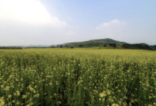 燕州城遗址景点图片