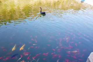 昆玉山||来昆玉山,遇见幸福的自己!