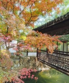 忆秦园小笼包(惠山古镇总店)-无锡-小马世界