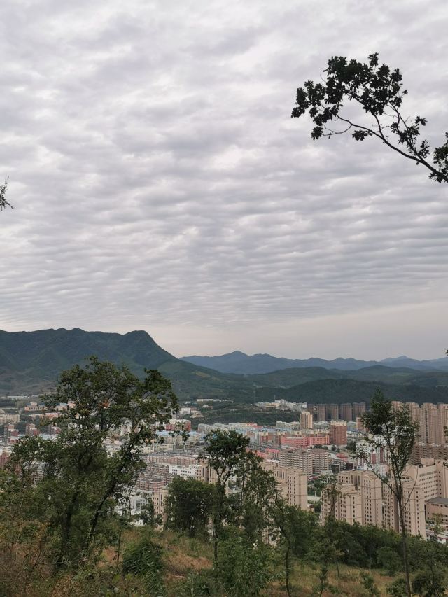 观音山公园旅行图片 6