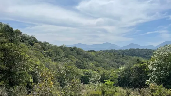 Lienhuachi Vasculum of Medicinal Garden