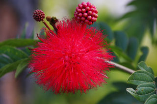 琅岐岛：盛产中国最顶级的螃蟹