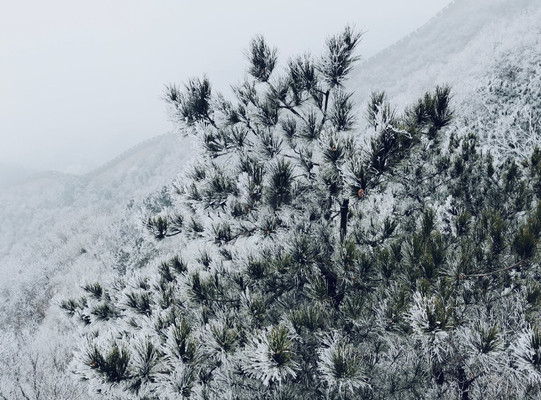 玩转人生必打卡景点---北京八达岭长城