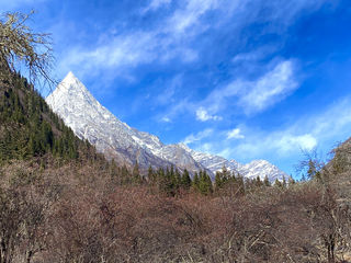 大美川西 洁白四姑娘