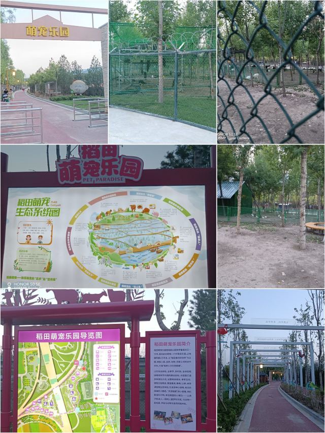 太原康培稻田公园旅行图片 6