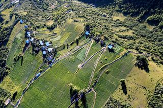 小金县:小土豆”大文章“ 推进乡村振兴