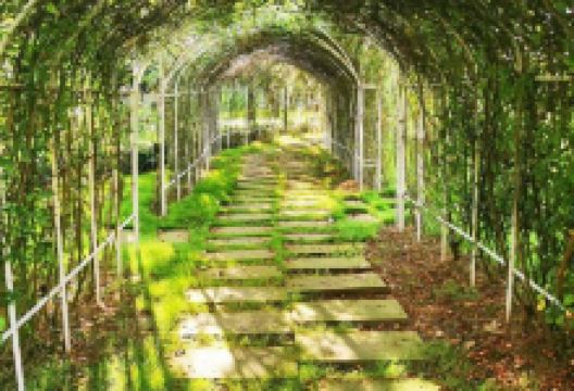 怡湖公园景点图片