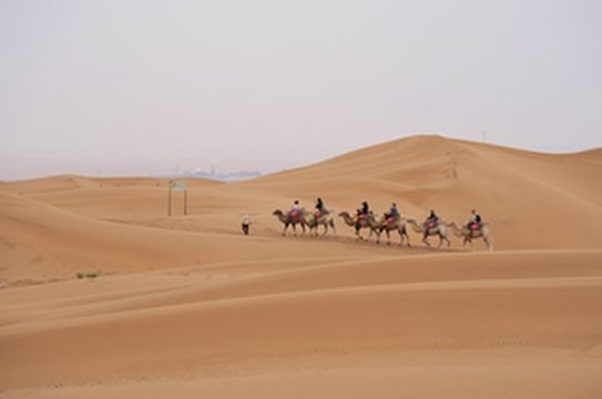 宁夏换季之旅,奔赴《大话西游》取景地,大西北也玩浪漫!