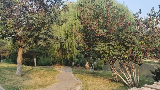 現代·滏陽原著濕地公園