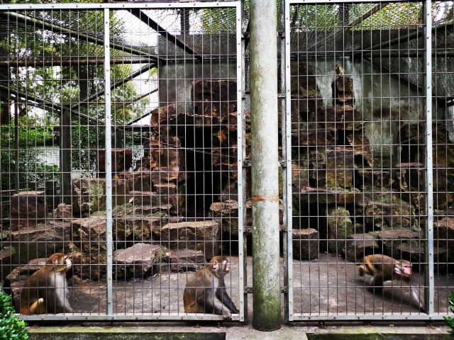 张堰公园旅行图片 2
