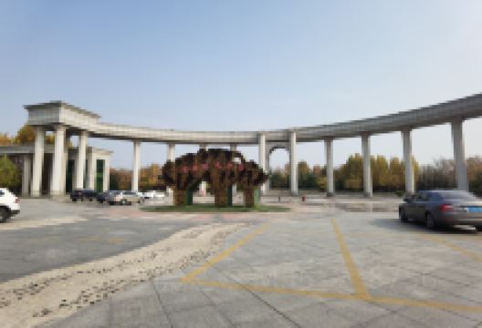 垦利植物园景点图片