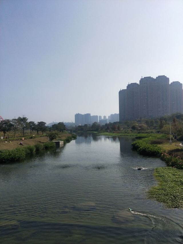那考河湿地公园旅行图片 6