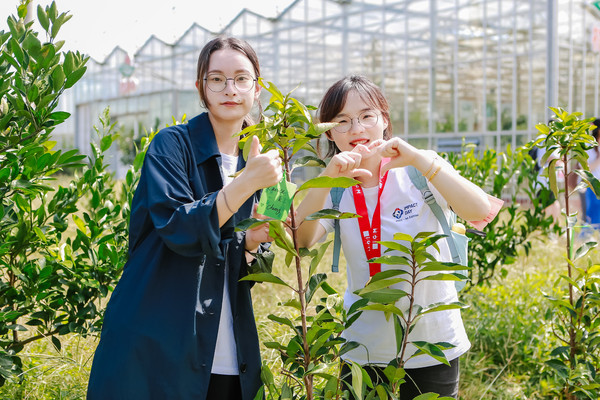 植树节主题团建活动场地推荐 选上海乐活营地