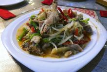 巴格欧尔达美食餐厅美食图片