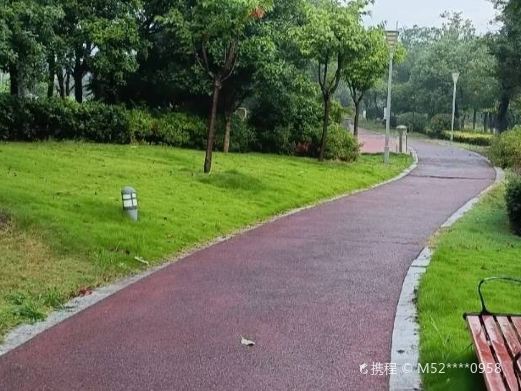 扬中森林公园