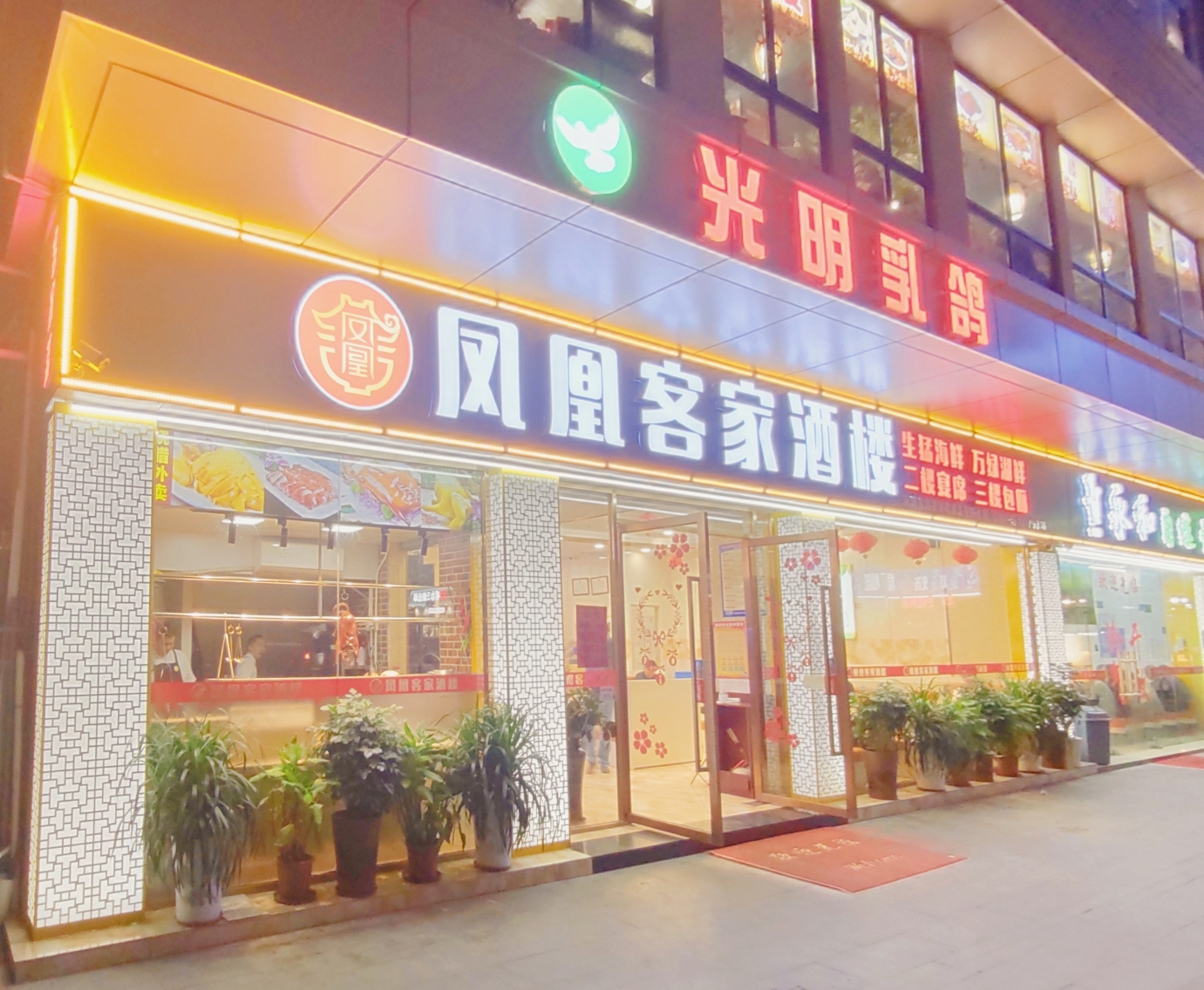 光明乳鸽·凤凰客家酒楼(凤凰店)