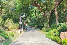 九山公园景点图片